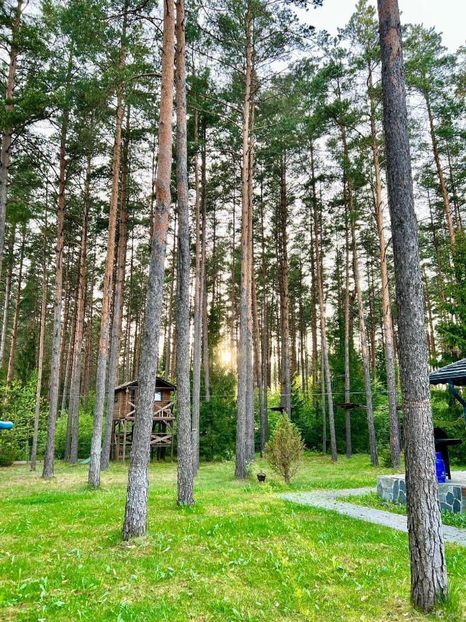 Caloroczne Domy Z Bala - Casa Del Czyzyk Serwy Eksteriør bilde